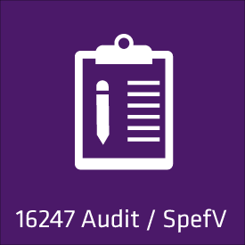 16247-Audits_275x275